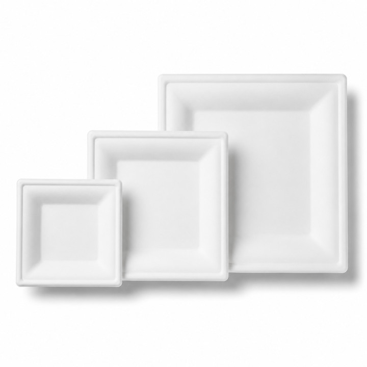 Assiette pulpe blanche toute tailles