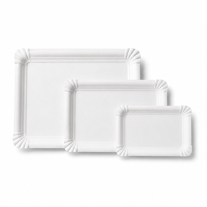 Assiette Carton Rectangle toutes tailles