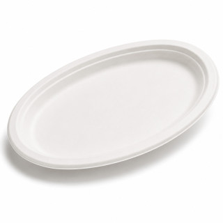 Assiette pulpe canne à sucre