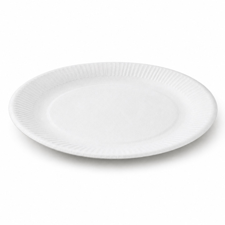 Assiette Carton Blanche