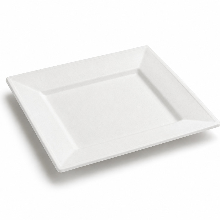 Assiette pulpe blanche carré