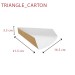 Triangle-carton