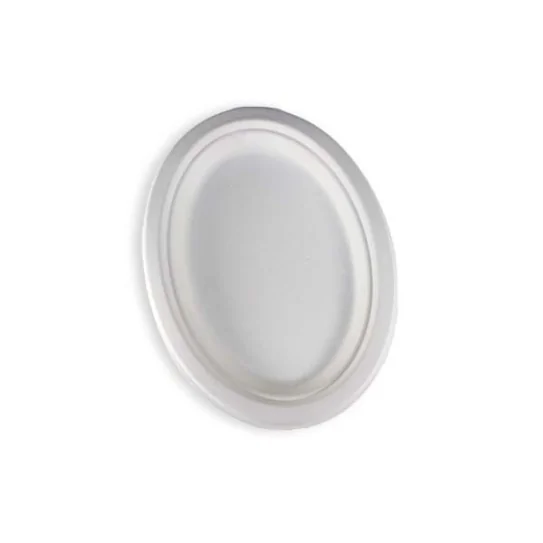 Assiette-pulpe-canne-a-sucre