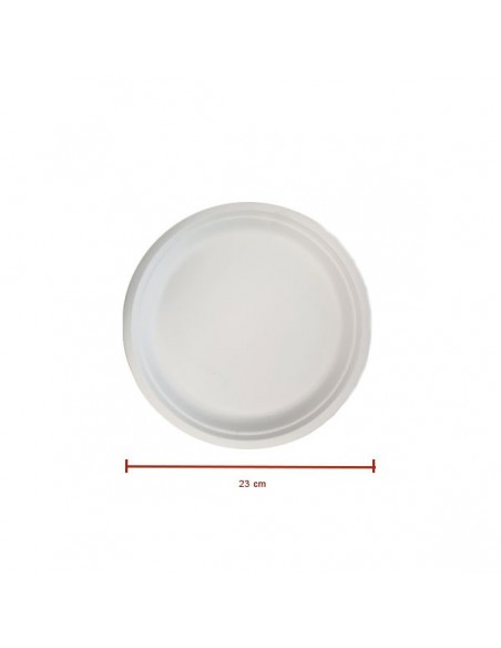 assiette-carton-pulpe-23-cm