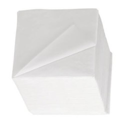 miniature Serviettes 2 Plis 24x24 Blanches