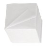 Serviettes 2 Plis 24x24 Blanches