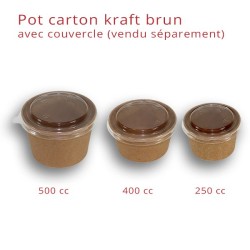 miniature Pot Carton Kraft Brun