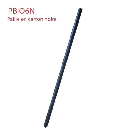 Paille-carton-noir-20-cm PBIO6N