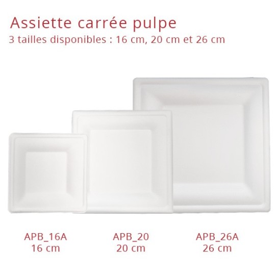 Assiette carton rectangle - Le Bon Emballage