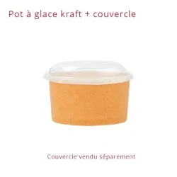 miniature Pot à glace carton