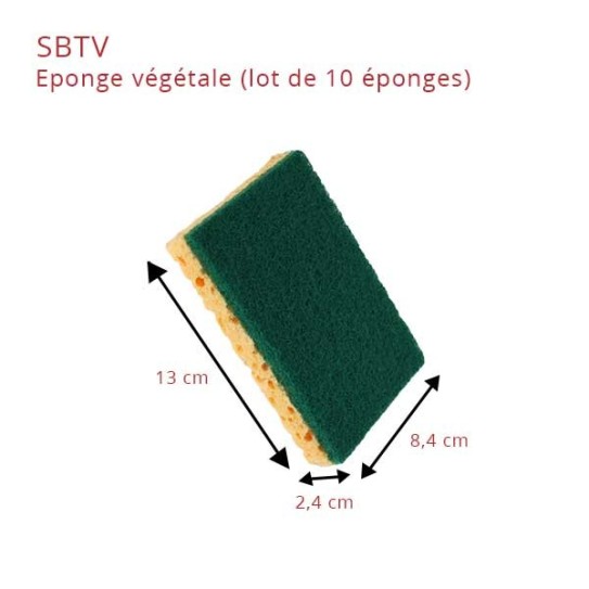 éponge-végétale