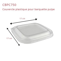 miniature Barquette Salade Pulpe