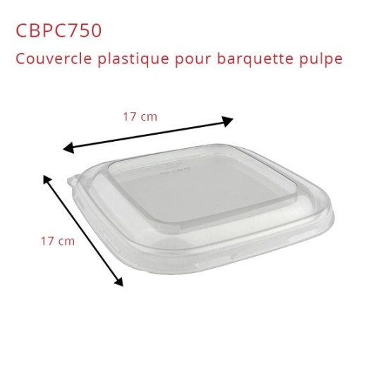 Bols Pulpe Plat Bols Pulpe Plat