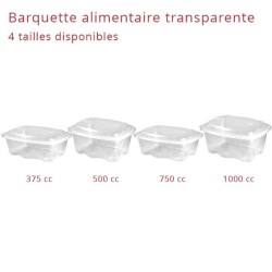 miniature Barquette Plastique Archipack + couvercle