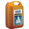 Liquide vaisselle citron Lagor