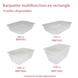 miniature Barquette Plastique Multifonction Rectangle