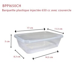 miniature Barquette plastique injecté + couvercle