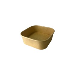 miniature Saladier carton carré