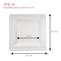 miniature Assiette Pulpe Blanche Écologique Carrée