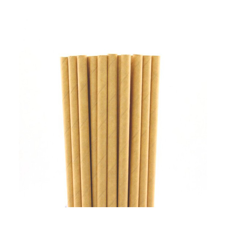 Pailles carton
