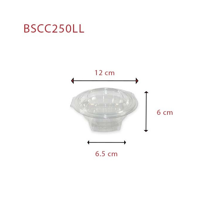 Bol Salade Plastique Charnière BSCC250LL dimensions