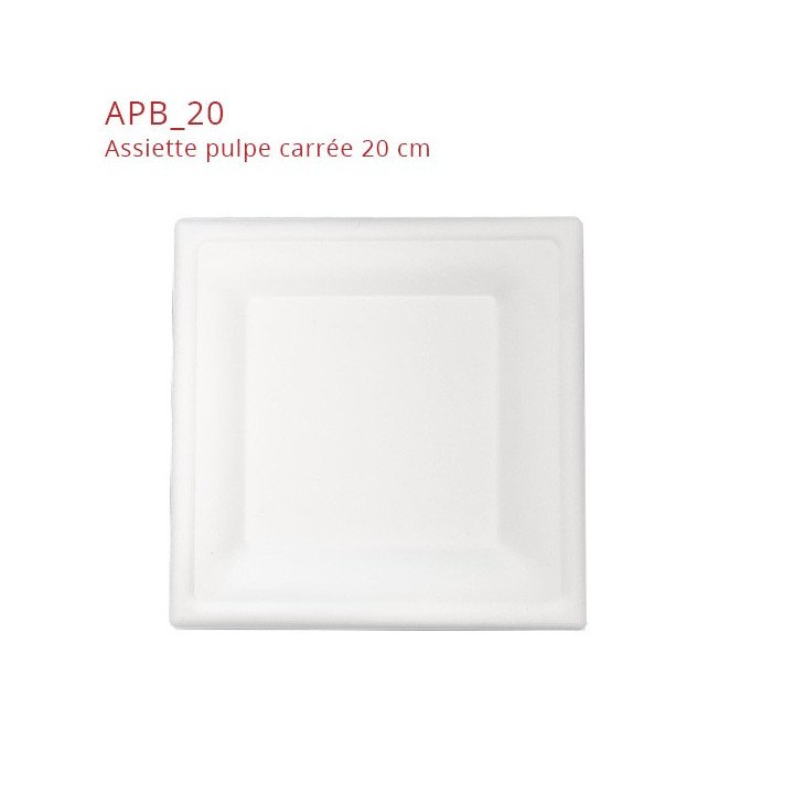 Assiette-carrée-pulpe-20-cm