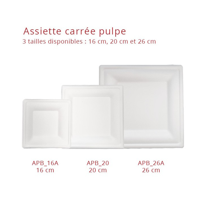 Assiette-carrée-pulpe-taille