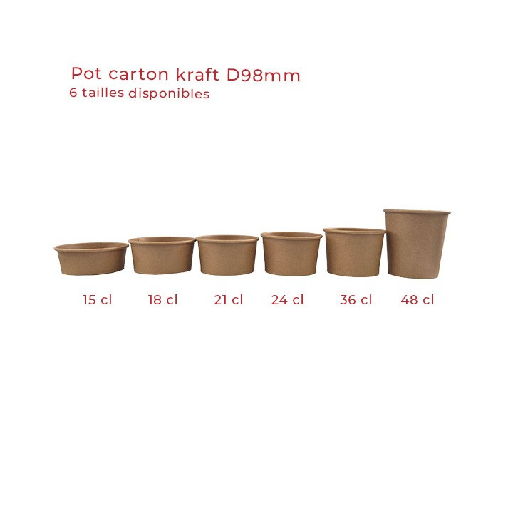 pot carton kraft modele