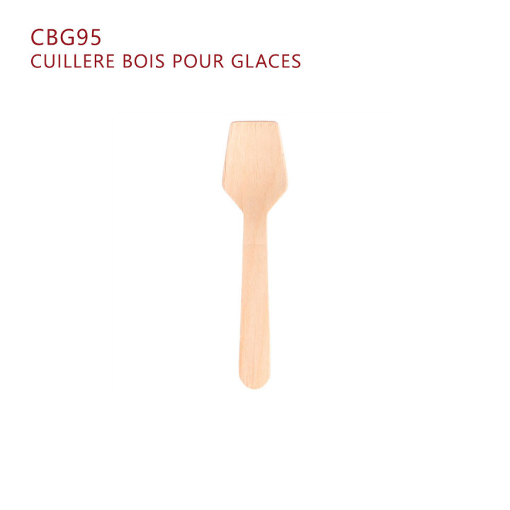 Cuillère pour glace
